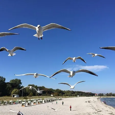 Near The With Sun Balcony *